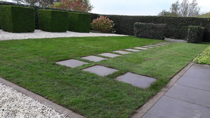 De juiste beplanting kiezen voor zand- en kleigrond in Noord-Drenthe