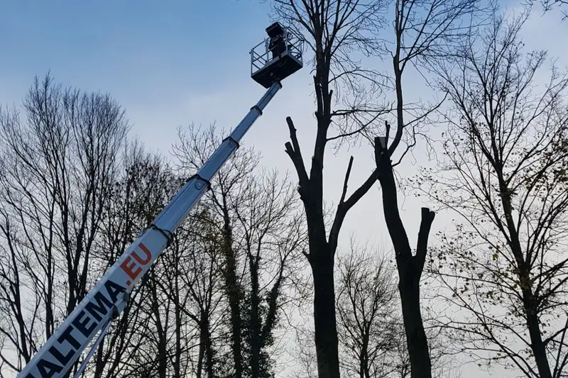 Tuinonderhoud & Snoeiwerk